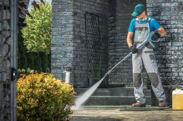 Best Roof Cleaning and Mildew Removal in Avilla, IN