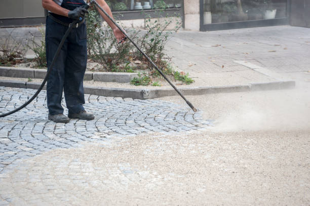Best Driveway Cleaning and Restoration in Avilla, IN